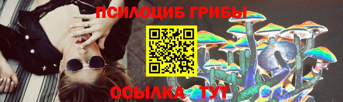 Черняховск  Псилоцибиновые грибы мухоморы  Вход с VPN 
